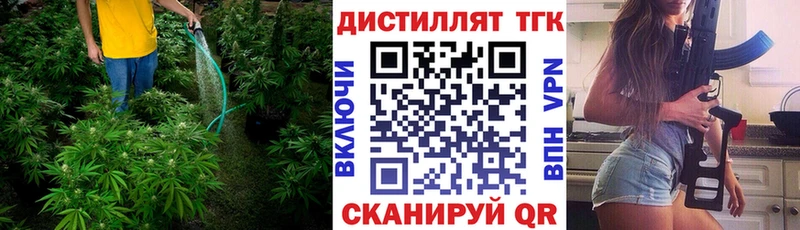 Дистиллят ТГК THC oil  Купить закладки  Закаменск 