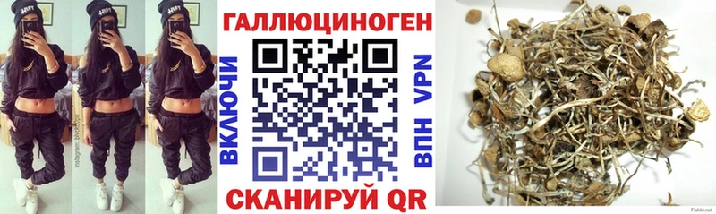 Галлюциногенные грибы мицелий  Купить где  Закаменск 